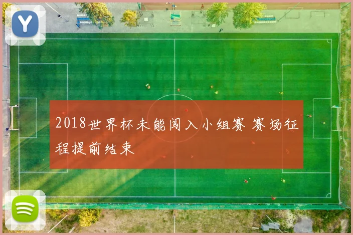 2018世界杯未能闯入小组赛 赛场征程提前结束